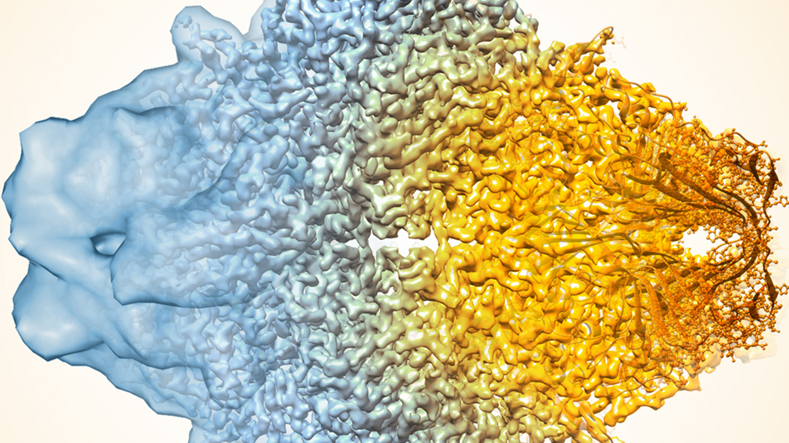 Biochemistry, Biophysics, and Structural Biology